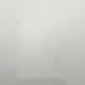 Meet your Posher, Viviana